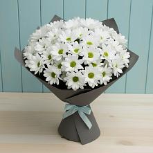 Букет цветов из:  Хризантемы #REPLACE_PRED# Ярково Новосибирской области