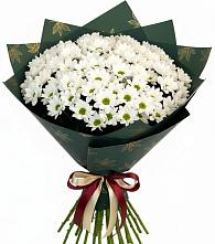 Букет цветов из:  Хризантемы #REPLACE_PRED# Ярково Новосибирской области